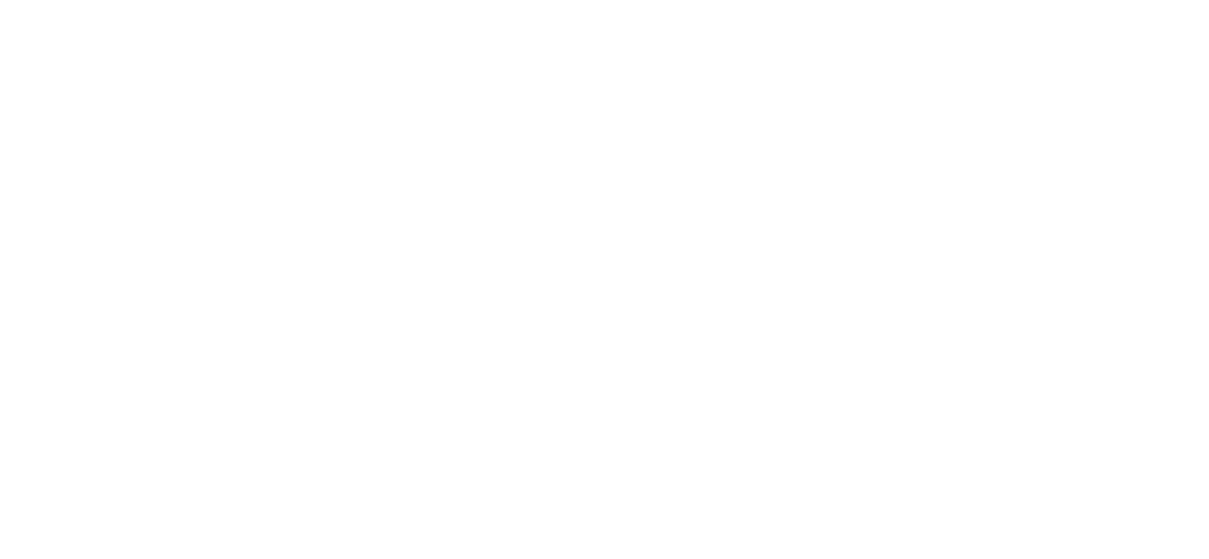 logo_blanc_sdis30