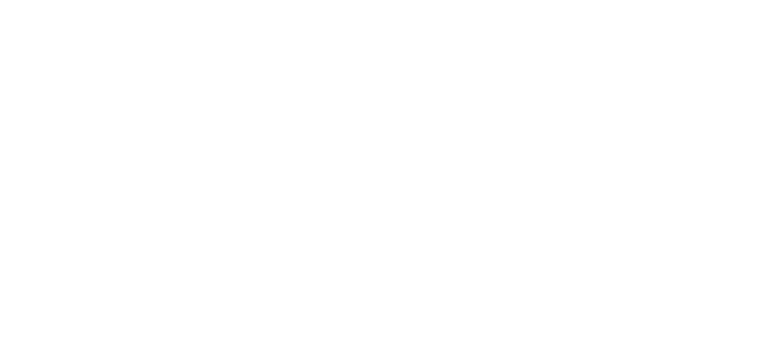 logo_blanc_sdis31
