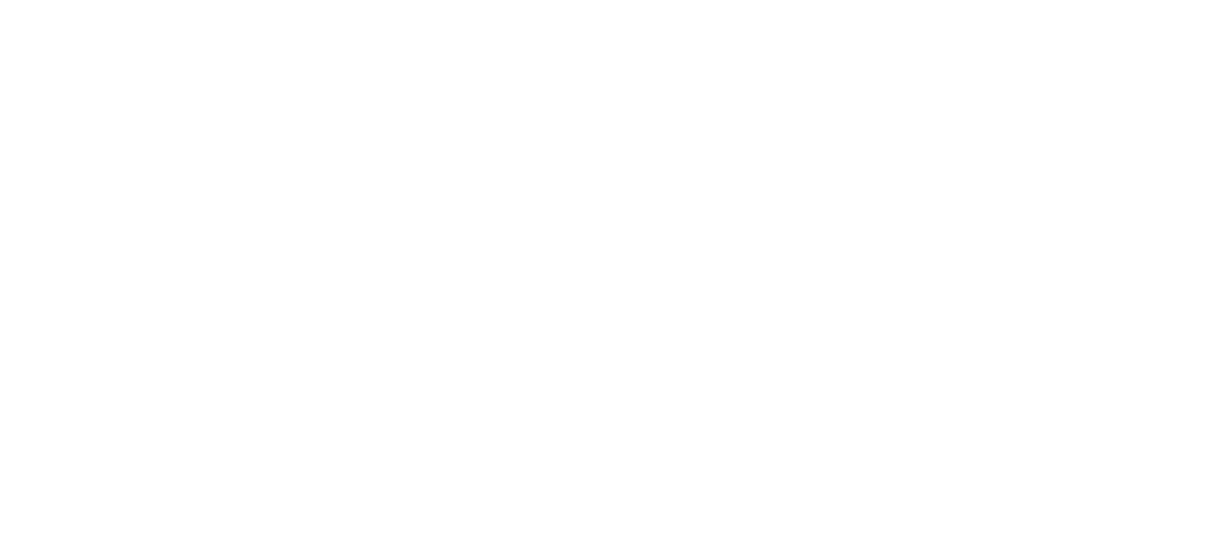 logo_blanc_sdis49